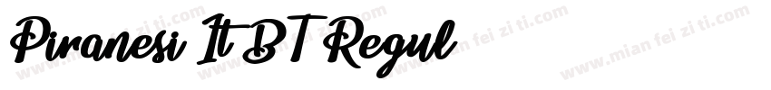 Piranesi It BT Regul字体转换